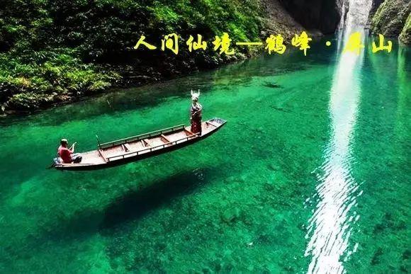可爱兔子营救